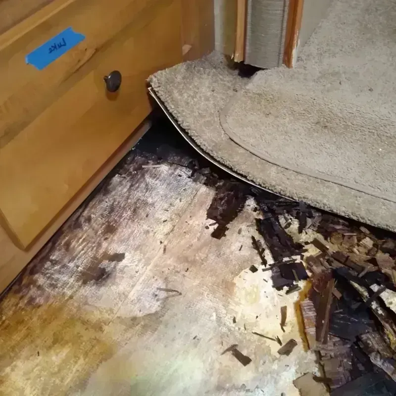 Best Wood Floor Water Damage Service in Saddle Brooke, AZ